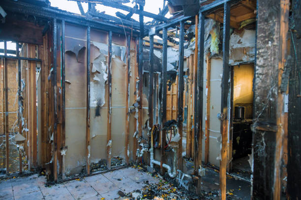Professional Fire Damage Removal technician working in Kenai, AK